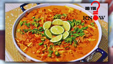 dhaka_haleem_f.png