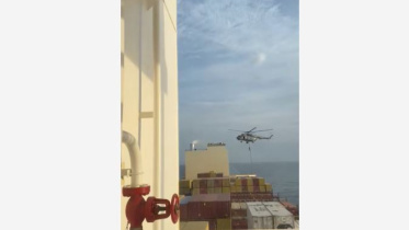 msc_ship.jpg