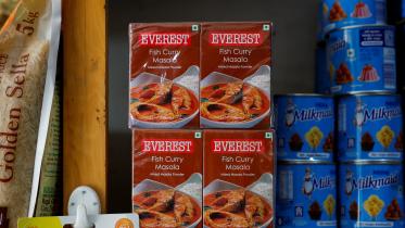 everest.jpg