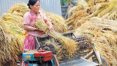Harvesting progress: Agri loans for women