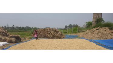 kalu-hijra.jpg
