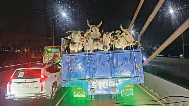 eid-ul-azha.jpg