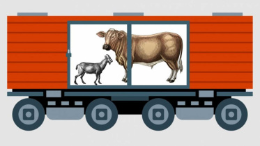 cattle-train-railway.jpg