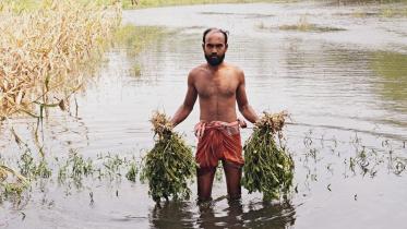 patuakhali.jpg