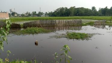 waterlogged.jpg