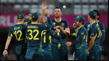 hazlewood.jpg