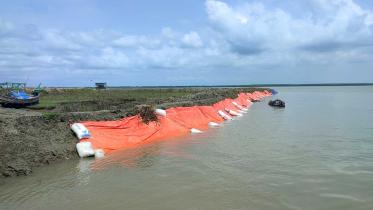 fish-enclosures-1.jpg