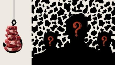 MP Anar, violence, corruption, people silhouette, meat, 
