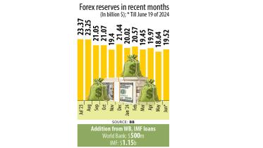 wb-imf.jpg