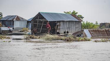 flood.jpg