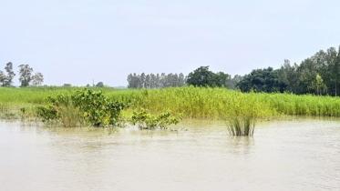 sirajganj-district.jpg