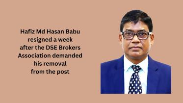 DSE chairman resigns