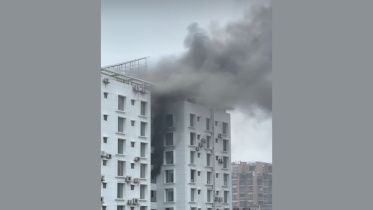 dmd_fire.jpg