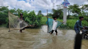 flood.jpg