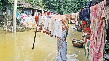 flood.jpg