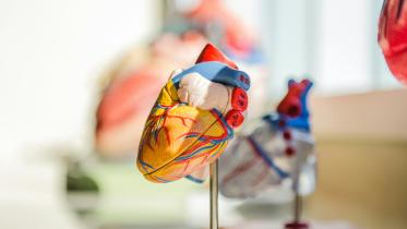 Eat, sleep, move, repeat: The lazy person’s guide to cardiac health          jesse-orrico-us3aqvyop-o-unsplash.jpg