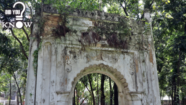 the_daily_star_dhaka_christian_cemetery_f.png