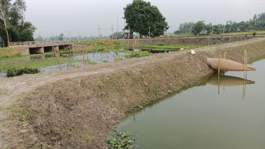 govt-canal.jpg