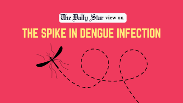 Spike in dengue infection