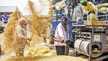 india_rice.jpg