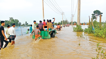 flood.jpg