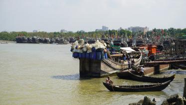 hilsa.jpg