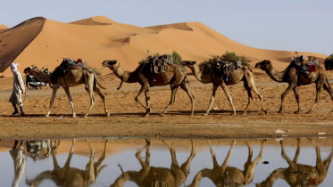 afp_20241021_36kj47a_v5_preview_topshotmoroccoweatherclimatefloodingsahara.jpg