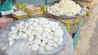 shinni-my-dhaka.jpg