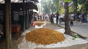 kachua-upazila.jpg