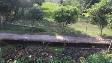 mathbaria-canal-grabbed.jpg
