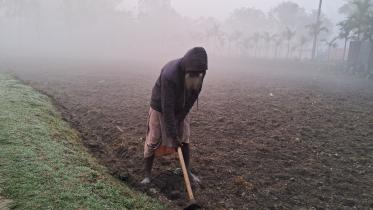 winter_thakurgaon.jpg