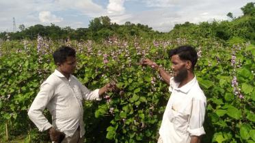 sitakunda-farmer.jpg