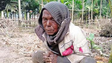 lalmonirhat_cold_hit-12.12.jpg