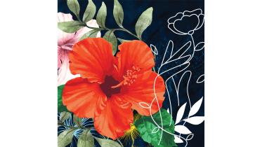 hibiscus-field.jpg