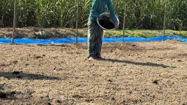 sirajganj_cumin_-3.jpg