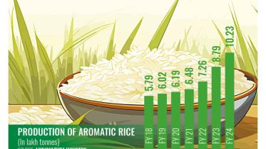Production of Aromatic Rice Bangladesh