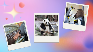 facebook_thumbnail_12_6.png