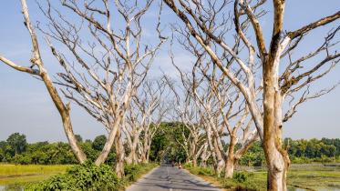 climate_crisis_in_bangladesh.jpg