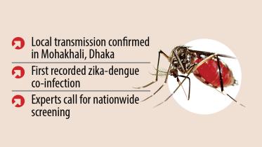 zika-cluster.jpg