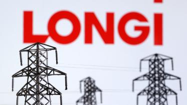 longi.jpg