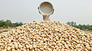 potato.jpg