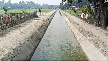irrigation.jpg
