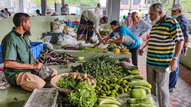 farmers_market_c_rashed_shumon_rs_5403.jpg