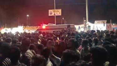 stampede.png
