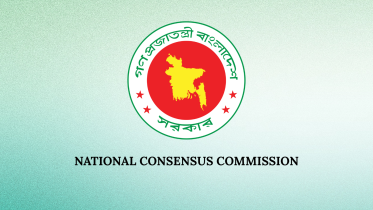 consensus commission upper house seat plan