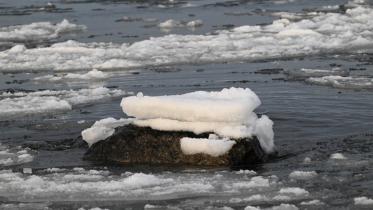 drifting_broken_sea_ice.jpg