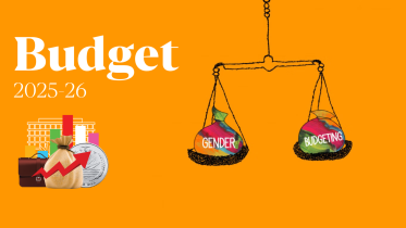gender_budget.png
