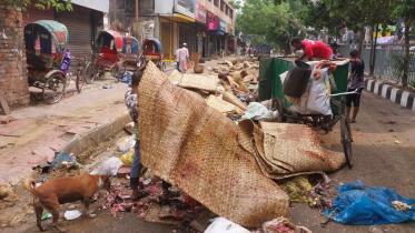 animal-sacrifial-waste