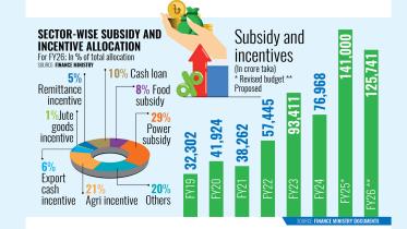Sector-wise subsidy and incentive allocation