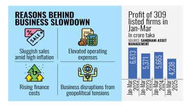  Reasons behind business slowdown